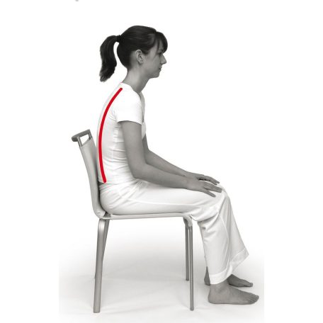 SISSEL Sit Special 2 in 1 anatómiai ülőpárna - szürke