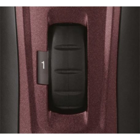 Remington SZAKÁLLVÁGÓ MB4047